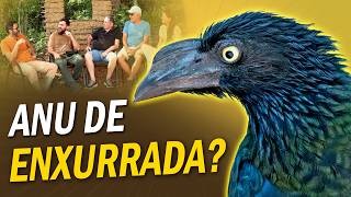 ANU DE ENXURRADA?! Um papo sobre nomes curiosos de aves