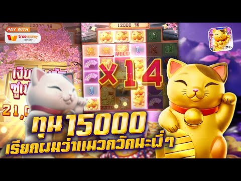 สล็อต สล็อตแตกง่าย สล็อตpg สล็อตเว็บตรง สล็อตวอเลท ปั่นสล็อต เกมแมว