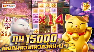 สล็อต สล็อตแตกง่าย สล็อตpg สล็อตเว็บตรง สล็อตวอเลท ปั่นสล็อต เกมแมว