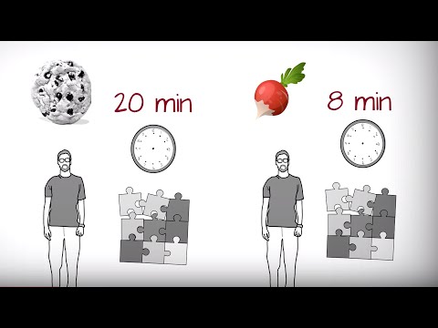 2 Things You Need to Understand to Stop Being Lazy – Willpower by Roy Baumeister