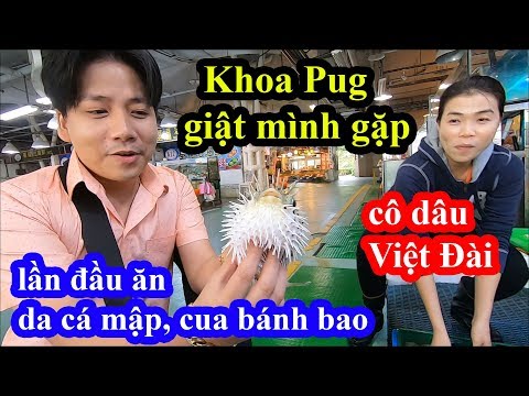 Da cá mập, cua bánh bao - Khoa Pug giật mình gặp cô dâu Việt Đài bán hải sản độc lạ và cái kết