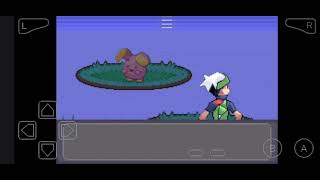 3. Gym Leader Roxanne, Rescue Peeko (Wingull)