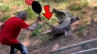 Uno Entre Mil Millones: Momentos Animales Captados por las Cámaras