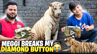 Meggi ko Youtube Diamond Button Dikha Dia | Shooter Naraz Ho Gya 🤣 | Nouman Hassan