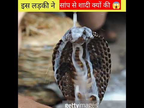 इस लड़की ने 🐍सांप से शादी क्यों की जानकर होश उड़ जायेंगे 😱#shorts#short