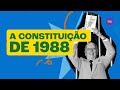 Constituição Brasileira: Direitos e Princípios