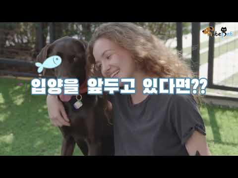 고양이와 강아지, 입양 전 꼭 알아야 할 5가지 차이점