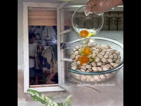 Series bagong episode 3 (razia rambut) #shorts #lucu #kocak