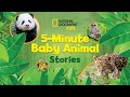 Little Bear and Baby Animals