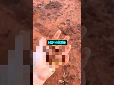 Expensive Outback Discovery 🤑