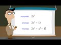 Exploring the Basics of Polynomial Functions
