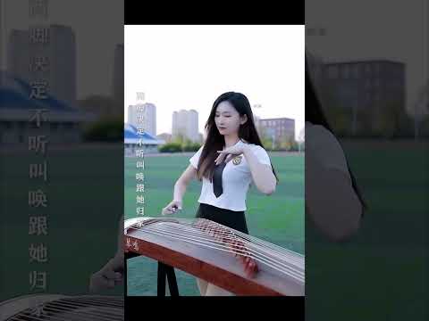 护花使者 #中国音乐 #古筝#国乐 #guzheng #中国传统乐器 #古筝版