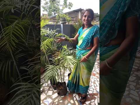 ఈరోజు వంశీ నా కాడ చెట్లు కొనిపించాడు 💰🙆