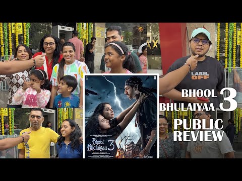 Bhool Bhulaiyaa 3 | Public Review | Kartik Aaryan, Vidhya Balan, Madhuri Dixit, Triptii Dimri