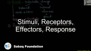 Stimuli, Receptors, Effectors, Response