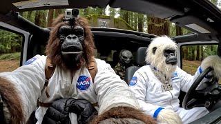 AI Meets BigFoot Exploring the Unknown | Funniest Bigfoot Vlog Compilation