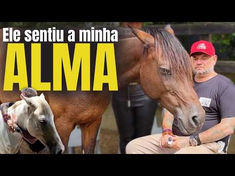 O PODER OCULTO DOS CAVALOS! A VERDADE QUE NINGUÉM TE CONTA!