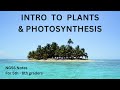 Plant Biology and Photosynthesis Concepts