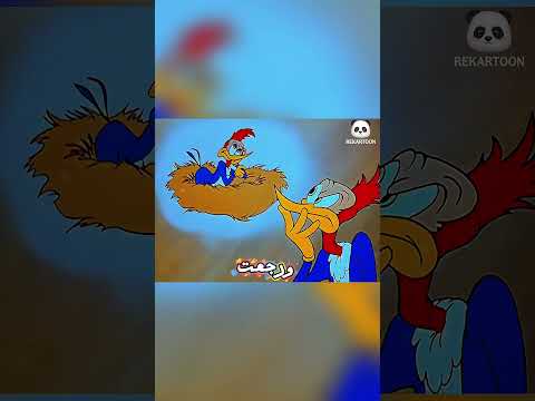 قصة نقار الخشب الصغير وباباه #shorts