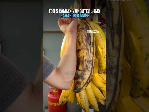 Топ 5 самых удивительных бананов в мире