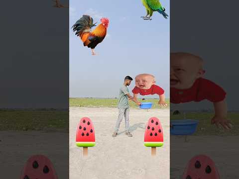 Flying crying babies Catching vs danching gorilla vs hen, parrot funny video😆 #trending #shorts