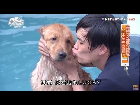 【台中】樂逗森林 毛小孩們的游泳天堂 食尚玩家 20160523