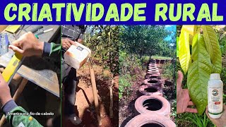 DICAS para ROÇA. Ideias do arco da velha para facilitar a lida diária.