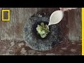 Explorando el Mar y la Gastronomía