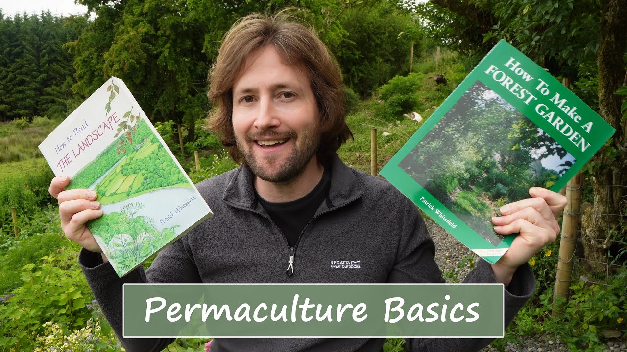 Permaculture Basics | What Does It Really Mean?
