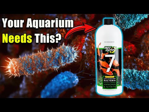 Talking Beneficial Aquarium Bacteria with Fritz Aquatics Microbiologist!