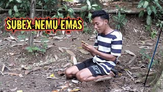 SUBEX NEMU EMAS