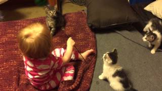 Vivian teaches kitties to pounce