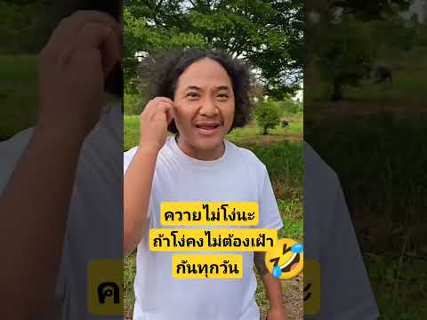 พึ่งรู้ก็วันนี้นี่เอง#ที่คนเปรียบเปรย#ว่าโง่เหมือนควาย🤣🤣#คลิปตลก #Fcโบ๊ะบ๊ะโชว์🙏🥰