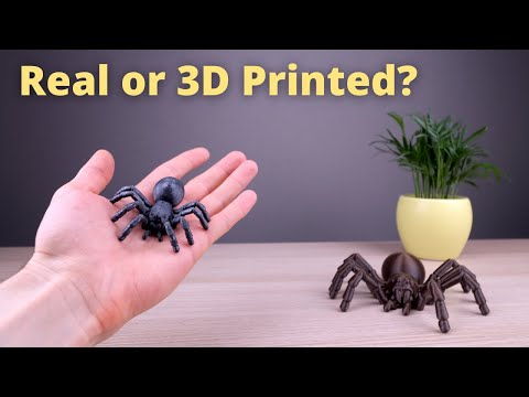 3D Printed Articulated Tarantula Spider