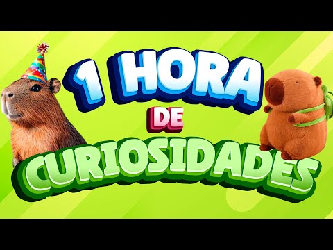 1 HORA DE CURIOSIDADES DE COSAS QUE NO SABÍAS HACE 5 MINUTOS ⏰🧠