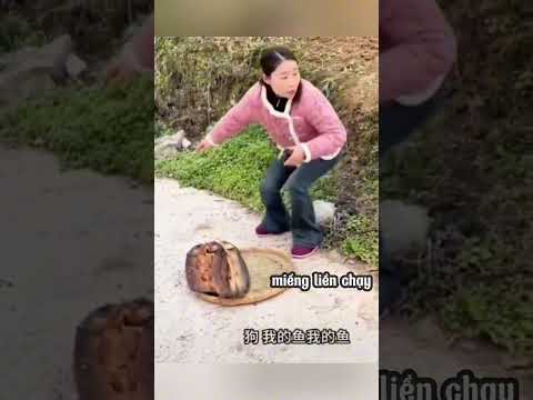 Cô bán hàng nhìn xuống thấy mấy hai miếng thịt