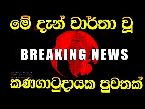 NEWS UPDATE LIVE   | HIRU NEWS |  NEWS BREAKING NEWS |  Special newsHIRU NEWS BREAKING NEWS Spe