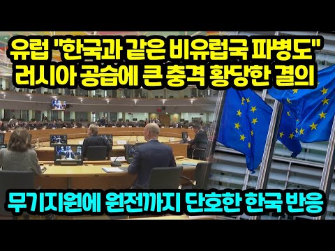 유럽 "한국과 같은 비유럽국 파병도" 러시아 공습에 큰 충격 황당한 결의 무기지원에 원전까지 단호한 한국 반응