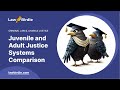 Juvenile Justice System Concepts