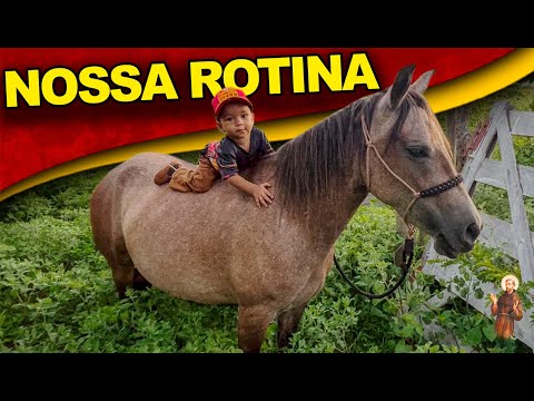 Nossa rotina na fazenda