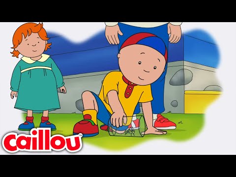El grillo de Caillou | Caillou Español - WildBrain | Caricaturas para niños