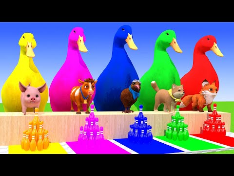 4 Giant Duck Cartoon,Lion,Cow,rabbit,Gorilla,Chicken,Dog,Cat Wild Animals Crossing Fountain 2023