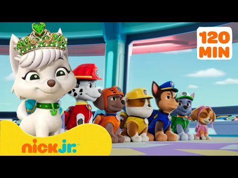 Patrulha Canina | Episodio Completo Dublado em Portugues | Nick Jr.