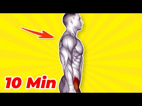 ➜ 10-MIN Posture Exercises for Men ➜ Fix Your Back & Core