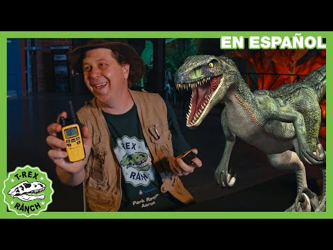 Usando radios para escapar de los dinosaurios  🦖 | Videos de dinosaurios y juguetes para niños