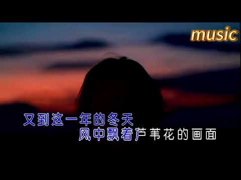 風中的蘆葦花-天籟天KTV 伴奏 no vocal 無人聲 music 純音樂 karaoke 卡拉OK 伴唱風中的蘆葦花-天籟天