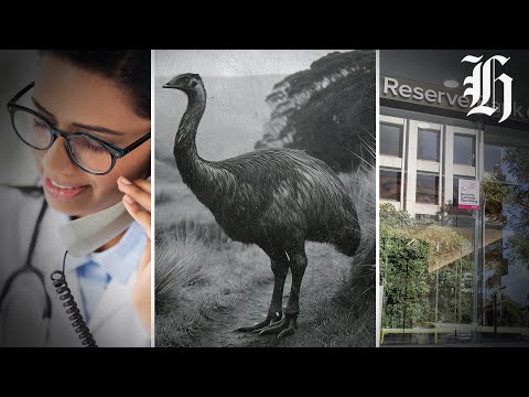YouTube video thumbnail:  Bringing Back the Moa, Public Service Survey and ORC on Herald Now Panel