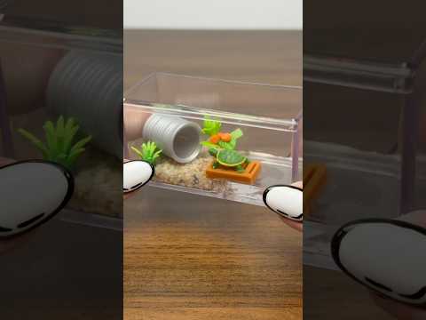 Make a mini home for my mini turtle with me! 🐢🤭