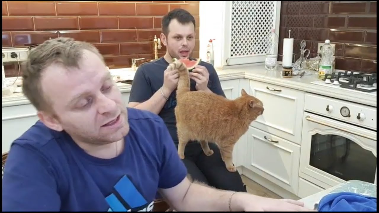 Пробуем арбуз за разговорами про театр. Надо?