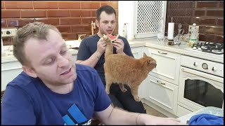 видео
